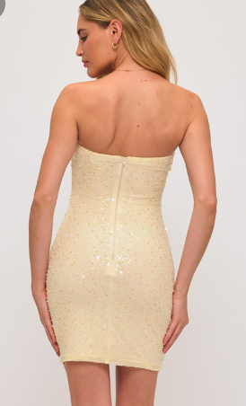 Pearl Sequins And Bead Ruched Bust Mini Dress