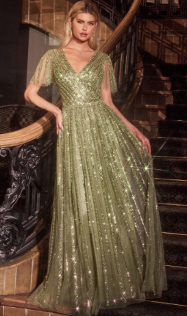 SEQUIN EMBELLISHED A-LINE DRESS MACD0241