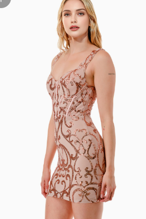 Sequin Mesh Corset Mini Dress
