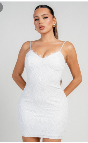 Ruffle Mesh Mini Dress